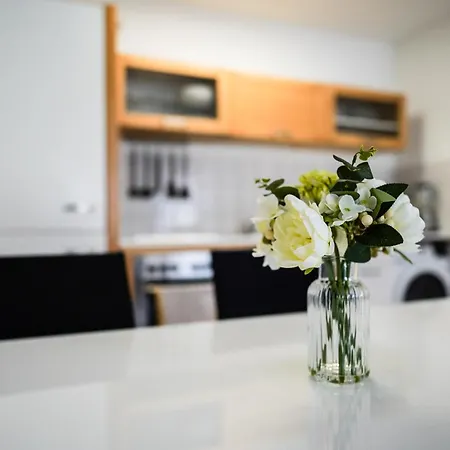 Zentrale In Netflix, Küche Und Boxspring-komfort Apartment Leimen (Baden)